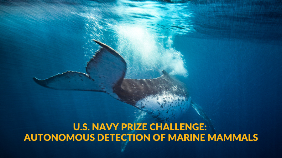 U.S. NAVY PRIZE CHALLENGE AUTONOMOUS DETECTION OF MARINE MAMMALS